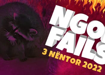 Mos nga koka se ngelesh budalla