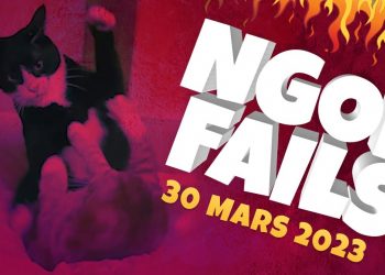 Stop llunës ndaj meçërve!