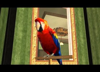 San Andreas – Episodi 13